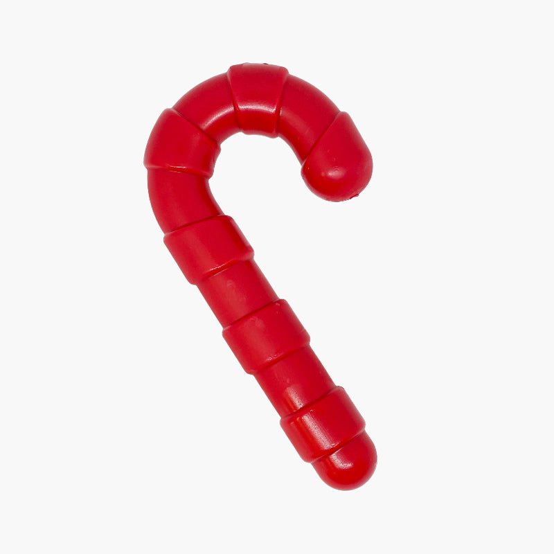 Sodapup Candy Cane Nylon Dog Chew Toy - CreatureLand