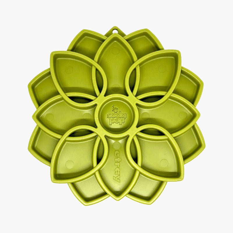 Sodapup Mandala eTray Enrichment Tray (Green) - CreatureLand