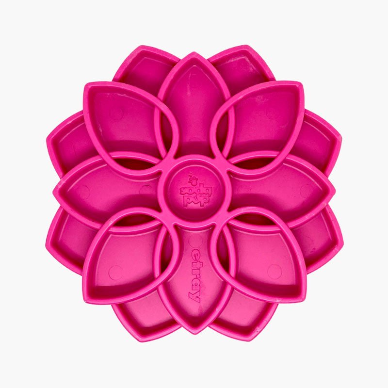 Sodapup Mandala eTray Enrichment Tray (Pink) - CreatureLand