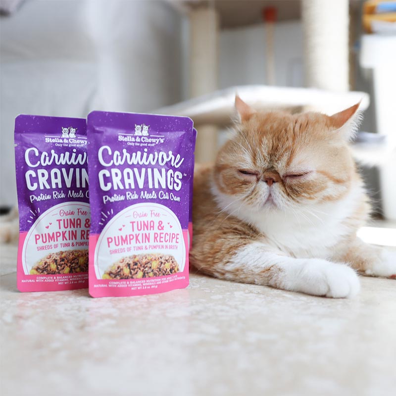 Stella & Chewy's Carnivore Cravings Pouch - Tuna & Pumpkin( 2.8oz ) - CreatureLand