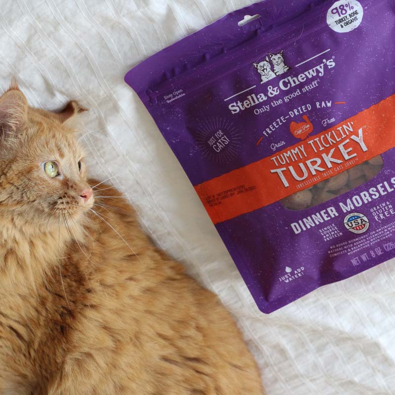 Stella & Chewy's Freeze Dried Dinner Morsels - Tummy Ticklin' Turkey (2 Sizes) - CreatureLand