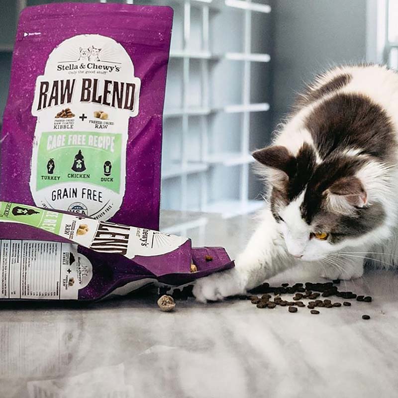 Stella & chewy's raw 2024 blend cage free recipe