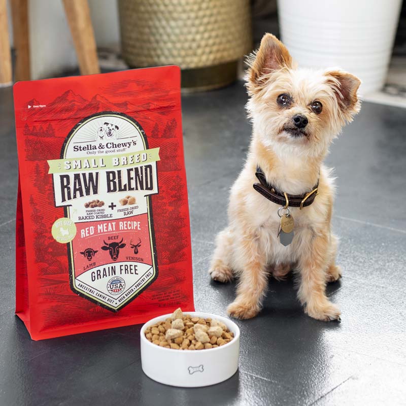 Stella & Chewy's Raw Blend Kibble For Small Breeds | Red Meat (2 Sizes) - CreatureLand