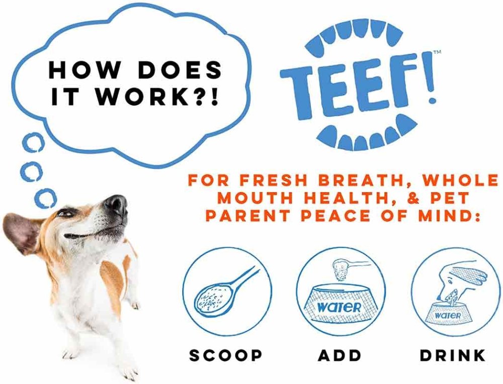 Teef Daily Dental Care For Cats & Dogs - CreatureLand