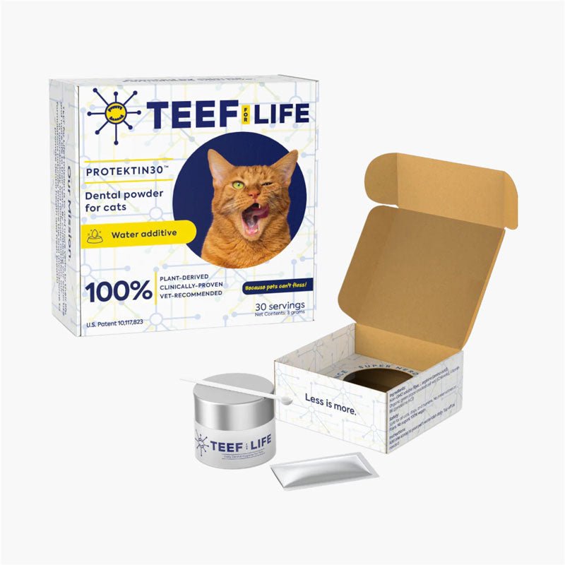 TEEF! Protektin30+K™ Dental Kit: Powder Water Additive for Cats - CreatureLand