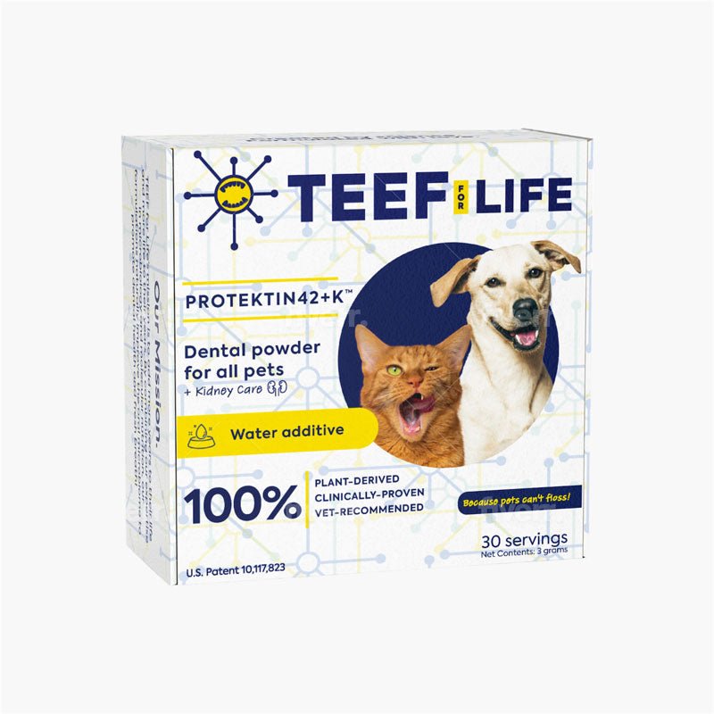 TEEF! Protektin42+K™ Dental Kit: Powder Water Additive for All Pets + Kidney Care - CreatureLand
