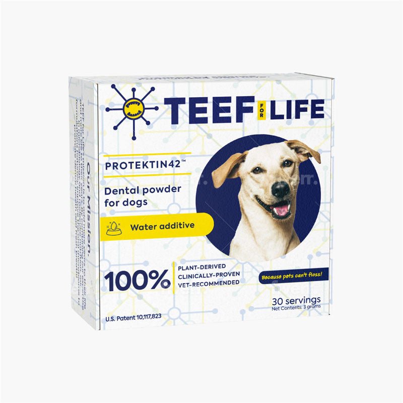 TEEF! Protektin42+K™ Dental Kit: Powder Water Additive for Dogs - CreatureLand