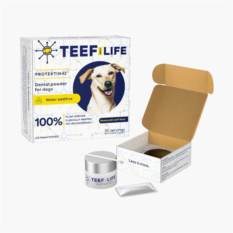 TEEF! Protektin42+K™ Dental Kit: Powder Water Additive for Dogs - CreatureLand