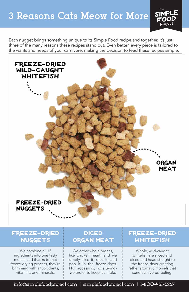 The Simple Food Project Freeze Dried Raw Cat Food - Chicken & Turkey - CreatureLand