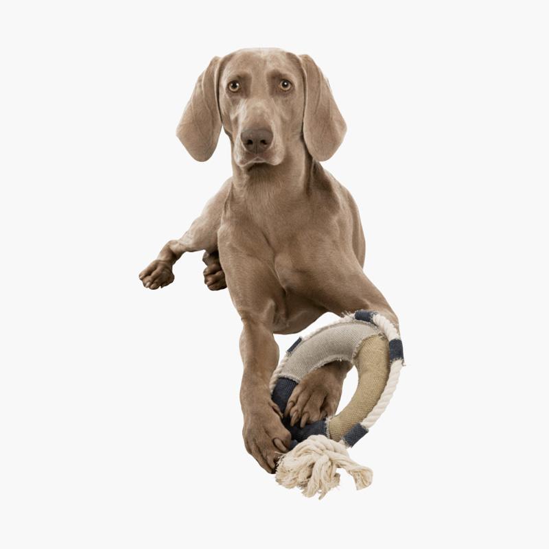 TRIXIE BE NORDIC Lifebelt Dog Toy - CreatureLand