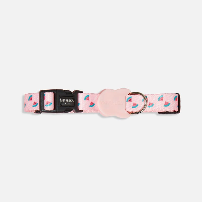 Vetreska Dog Collar and Leash - Pink Watermelon | CreatureLand.