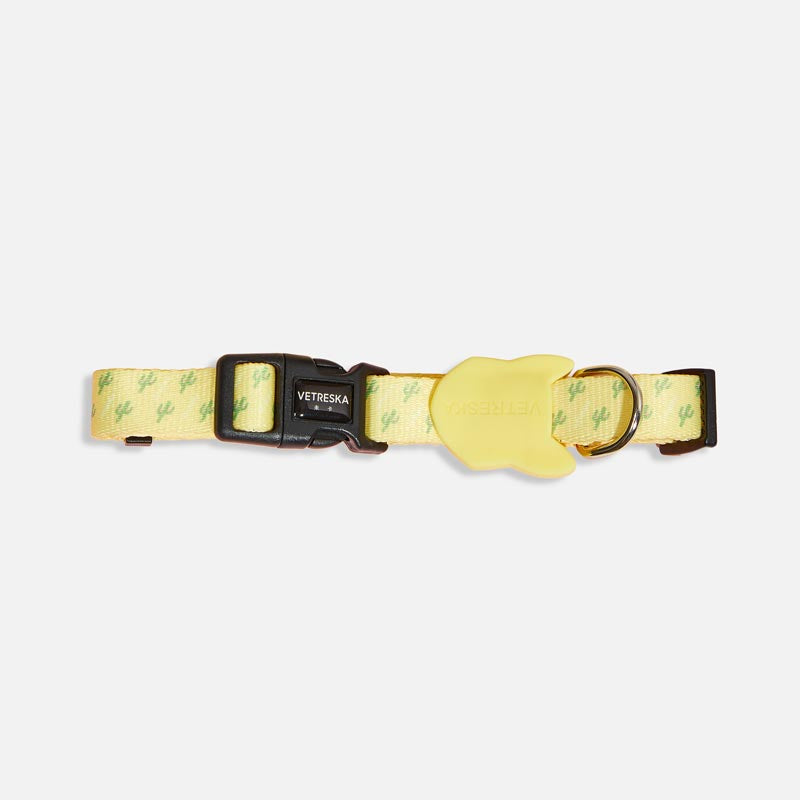 Vetreska Dog Collar and Leash - Yellow Cactus | CreatureLand.