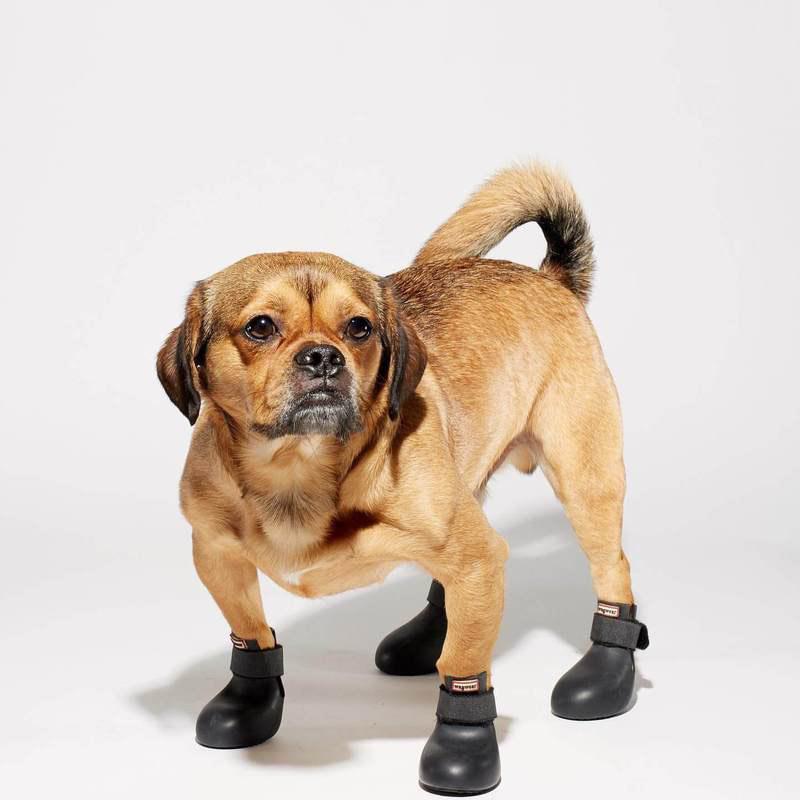 wagwear WagWellies® Dog Boots | Black - CreatureLand