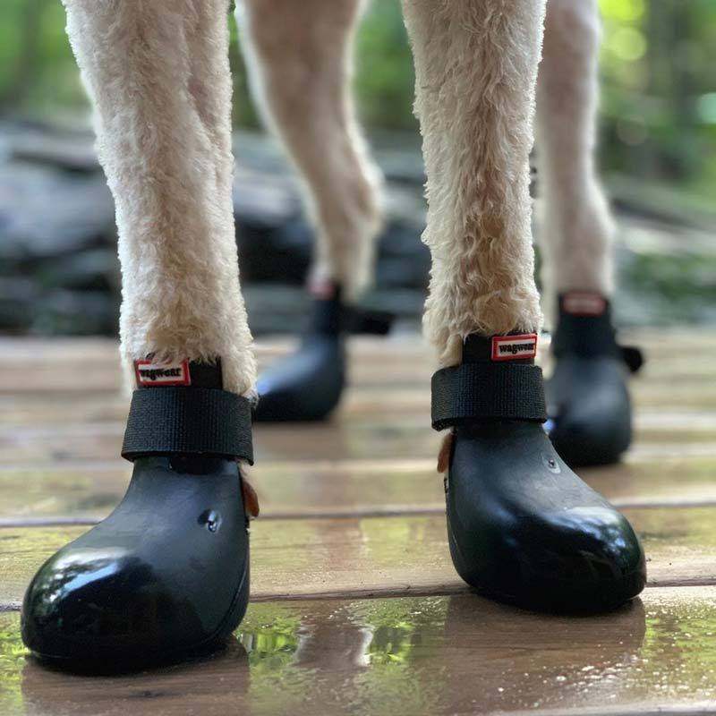 Wagwear 2024 dog booties