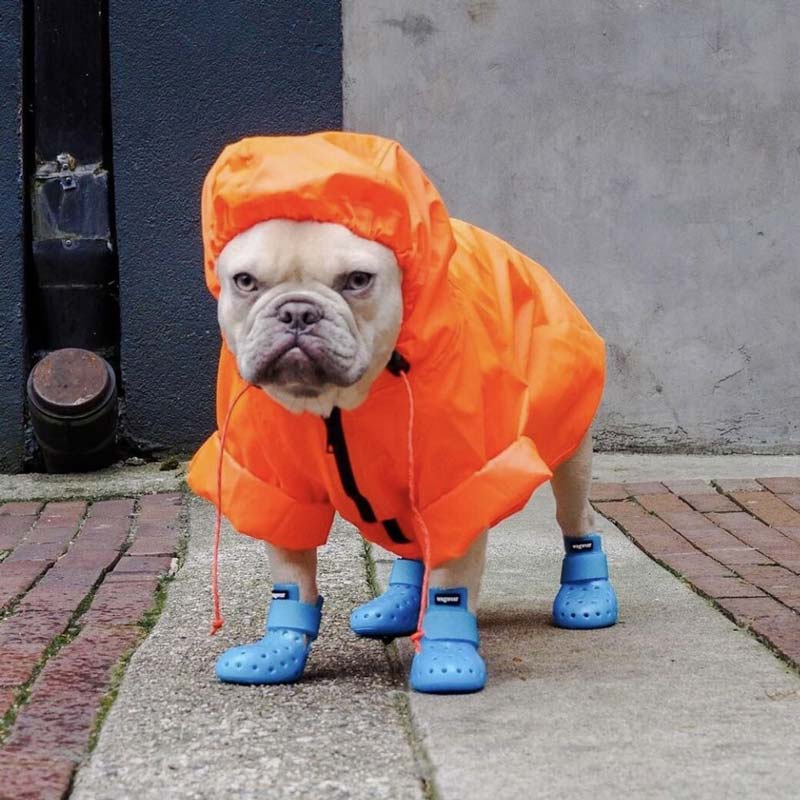 Wagwear raincoat best sale