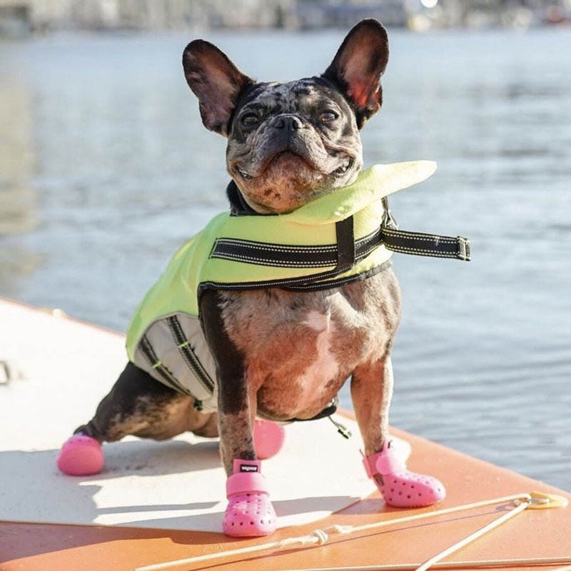 French bulldog outlet wellies