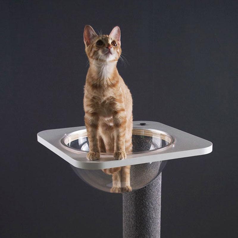 Cat tree hot sale bowl