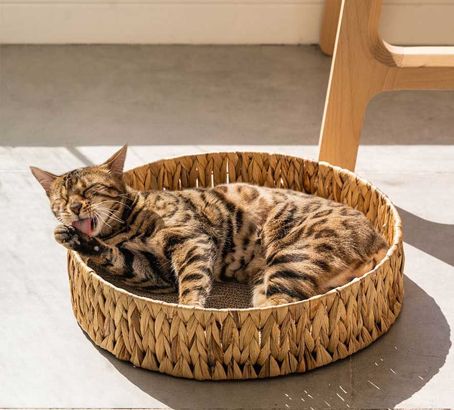 Wakupet Weaved Nest Rattan Cat Scratcher - CreatureLand