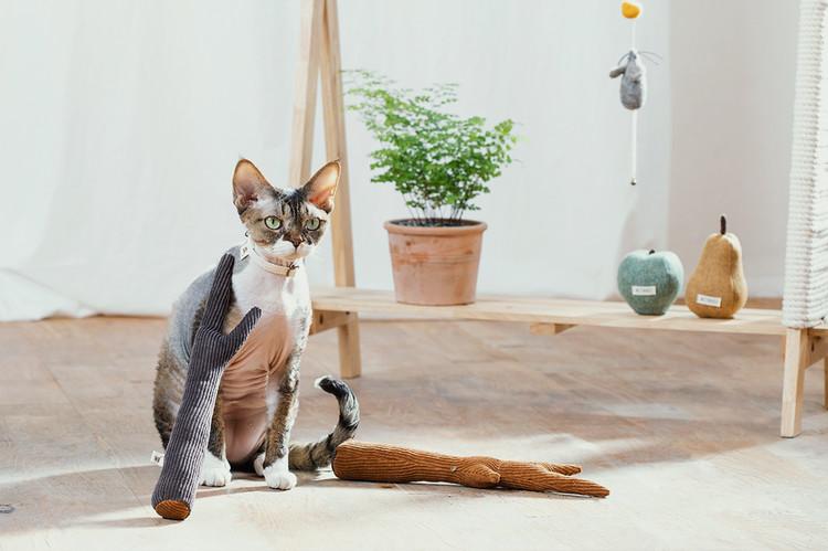 Wetnose Ash Wood Matatabi Cat Toy - CreatureLand