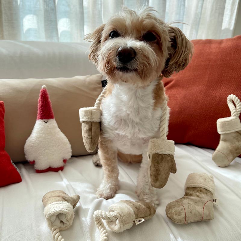 Wetnose [ PRE-ORDER ] Mittens & Socks Dog Toy - CreatureLand