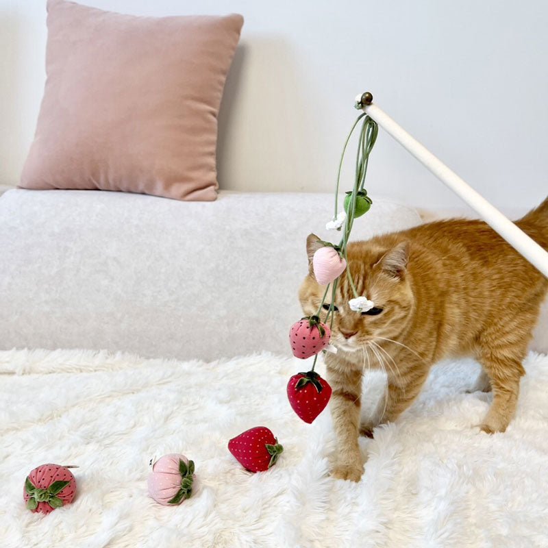 Wetnose [PRE-ORDER] Strawberry Rod Cat Teaser - CreatureLand