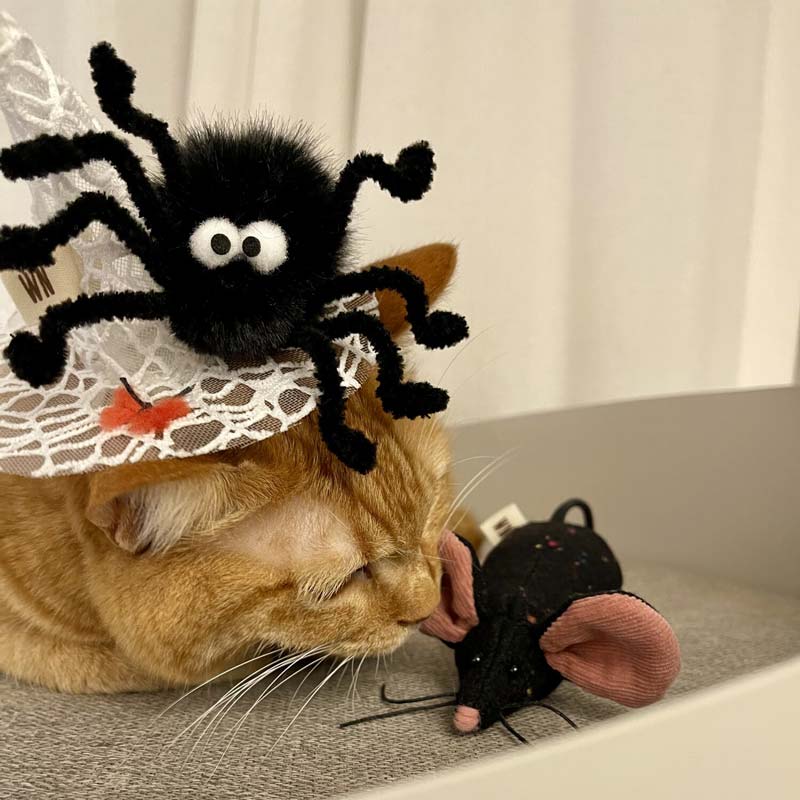 Wetnose [PREORDER] Black Rat Catnip Toy - CreatureLand