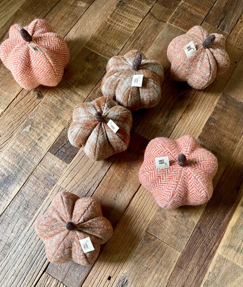 Wetnose Pumpkin Catnip Toy - CreatureLand