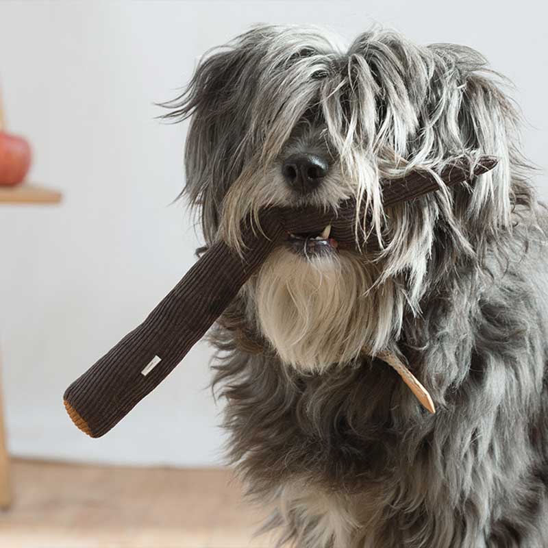Wetnose Walnut Wood Dog Toy - CreatureLand