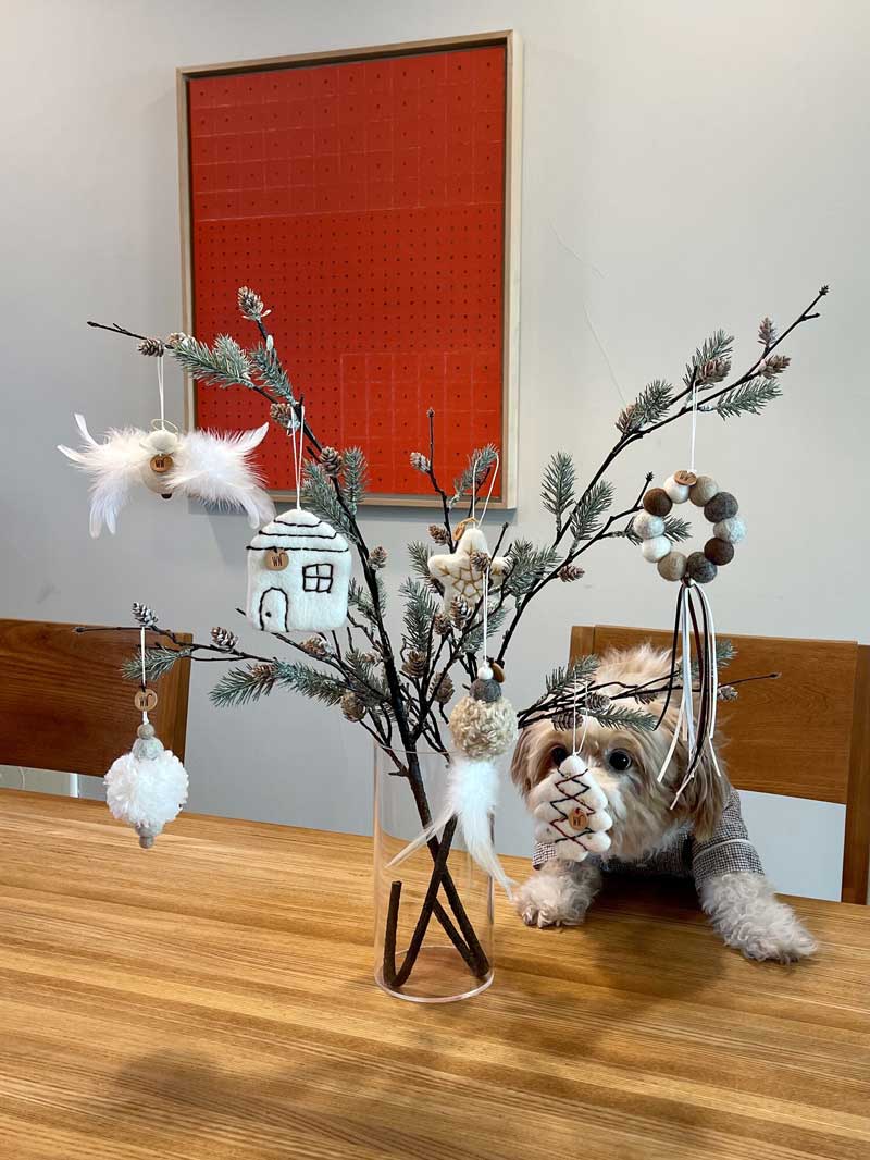 Wetnose Wool Ornament Cat Teaser Toy - Wreath - CreatureLand