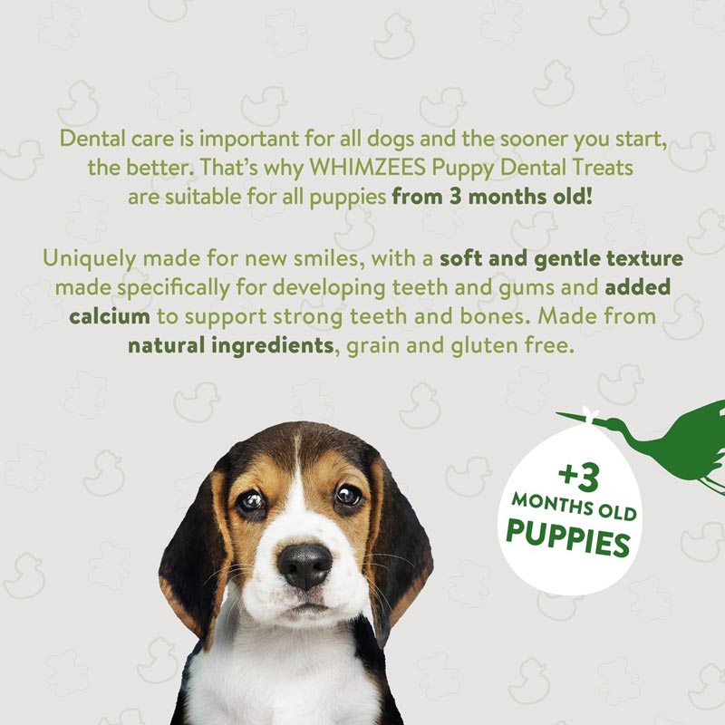 Whimzees Natural Puppy Dental Dog Chews - CreatureLand